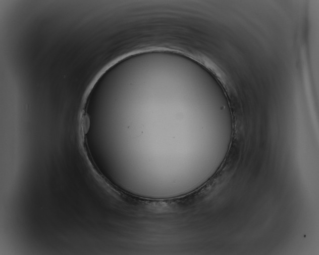 X0000100311524200806190932