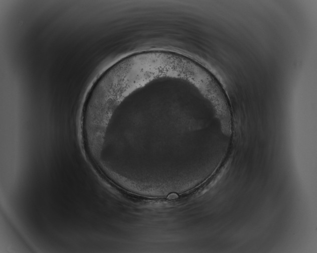 X0000100311525200806190932