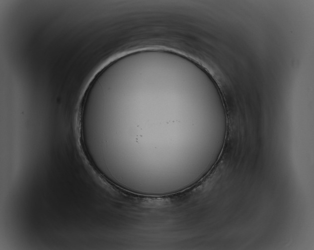 X0000100311526200806190932