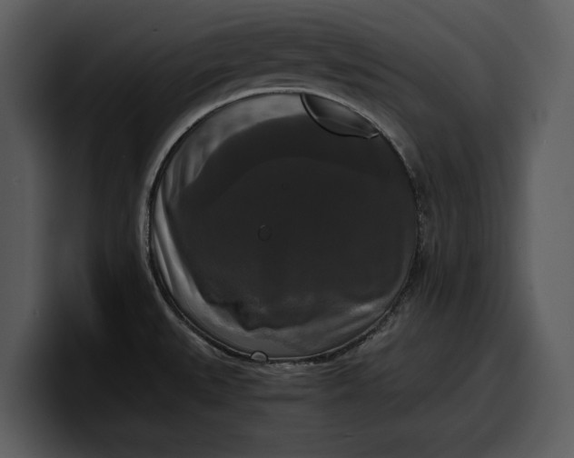X0000100311527200806190932