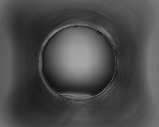 X0000100311528200806190932