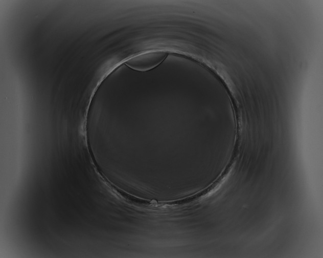 X0000100311529200806190932