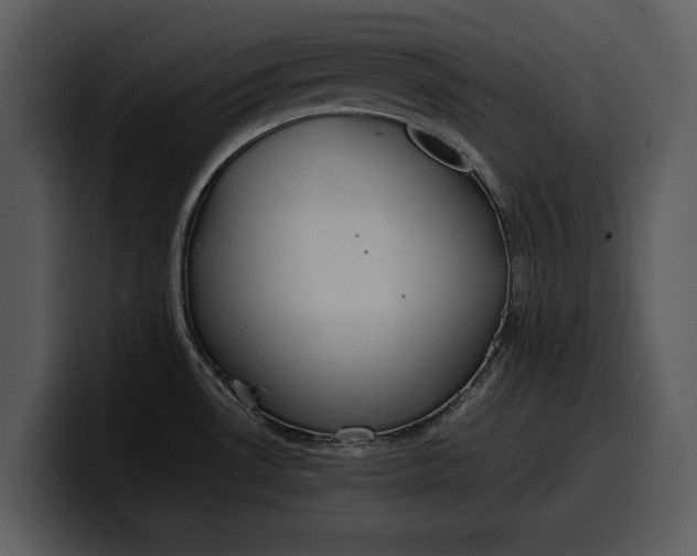 X0000100311530200806190932
