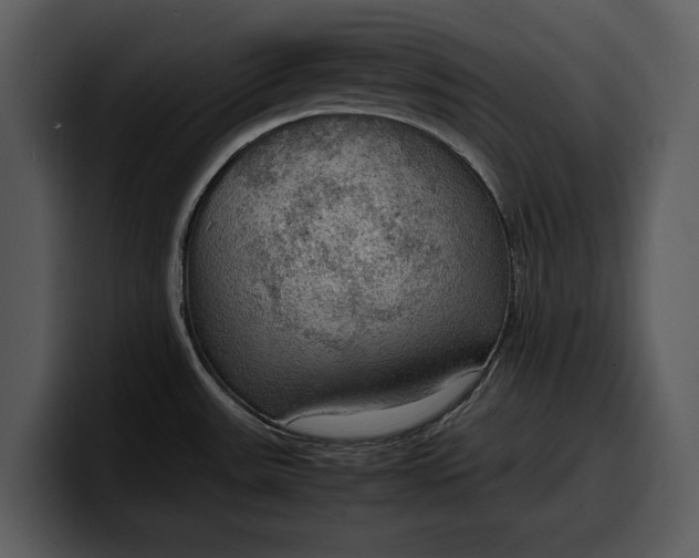 X0000100311531200806190932