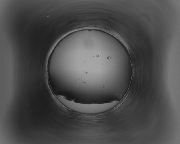 X0000100311532200806190932