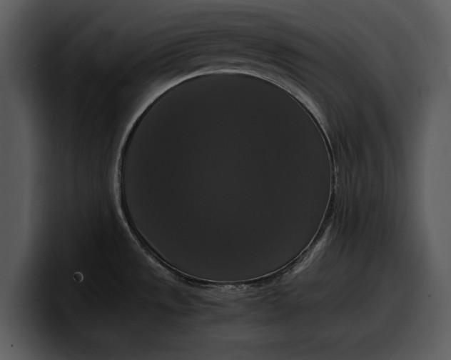X0000100311533200806190932