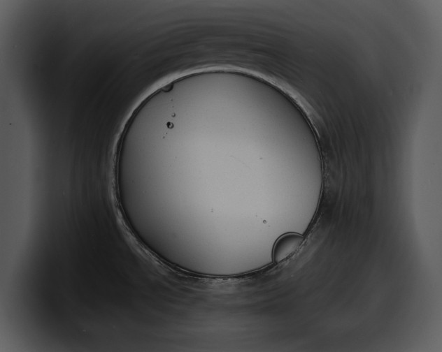 X0000100311534200806190932