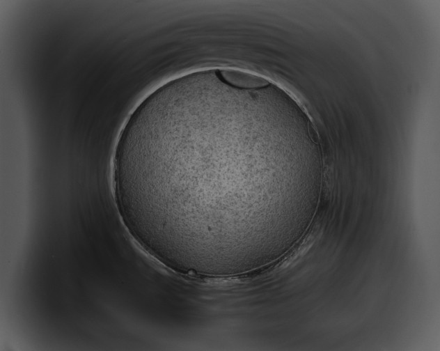X0000100311535200806190932
