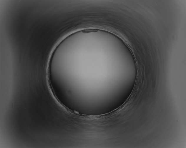 X0000100311536200806190932