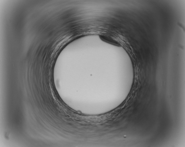 X0000100310001200806261213