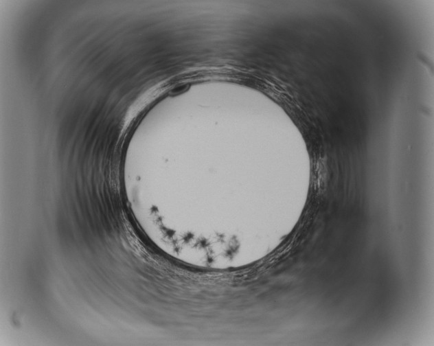 X0000100310004200806261213