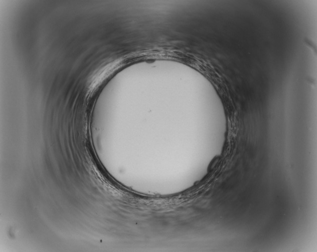 X0000100310005200806261213