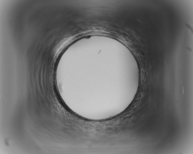 X0000100310007200806261213