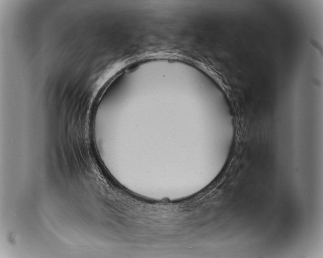 X0000100310008200806261213