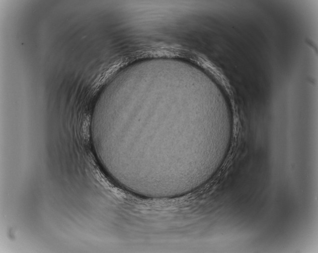 X0000100310009200806261213