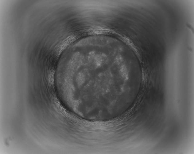 X0000100310010200806261213