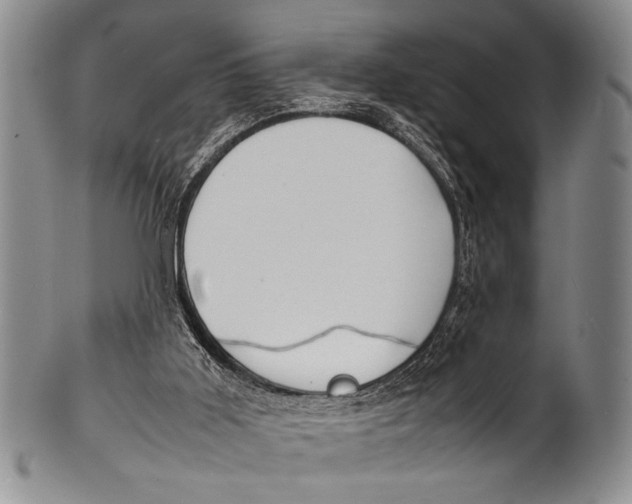 X0000100310011200806261213