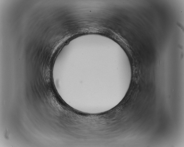 X0000100310012200806261213