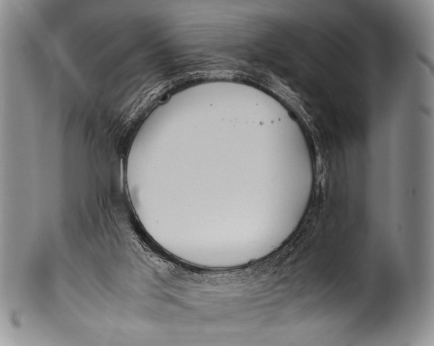 X0000100310013200806261213