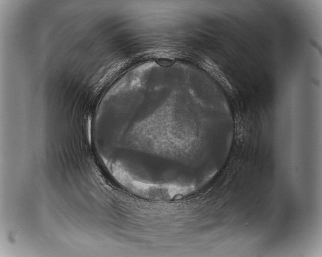 X0000100310014200806261213