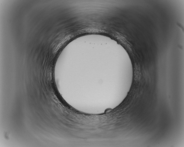 X0000100310015200806261213