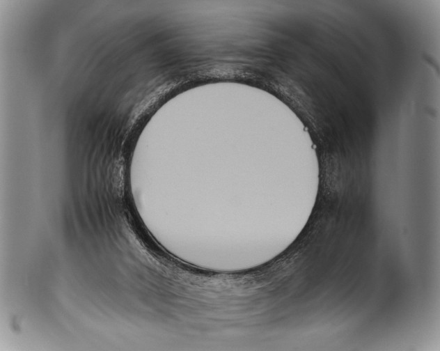 X0000100310016200806261213