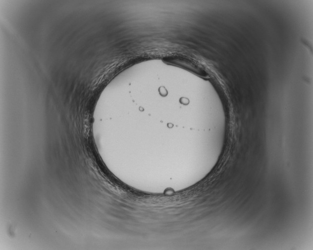 X0000100310017200806261213