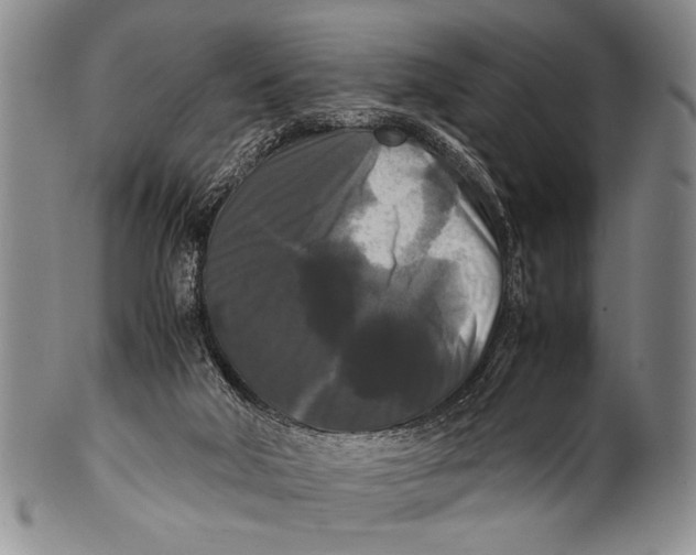 X0000100310018200806261213