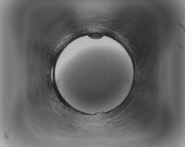 X0000100310019200806261213