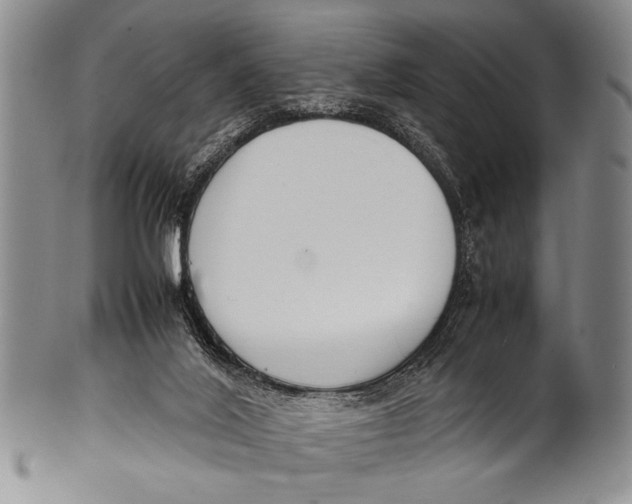 X0000100310020200806261213