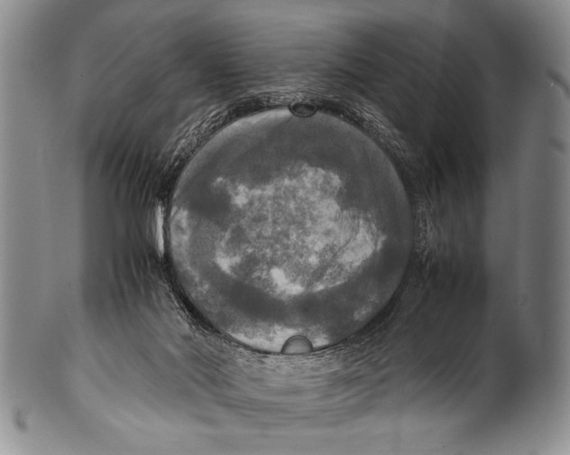 X0000100310022200806261213