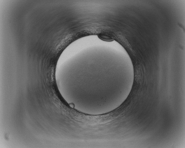 X0000100310023200806261213