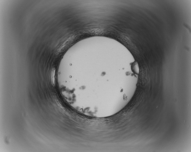 X0000100310024200806261213