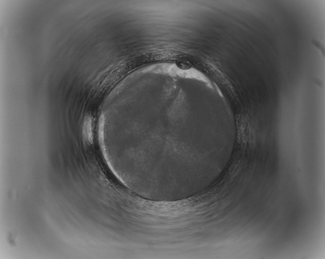 X0000100310026200806261213