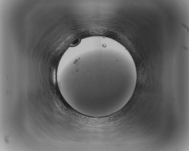 X0000100310027200806261213