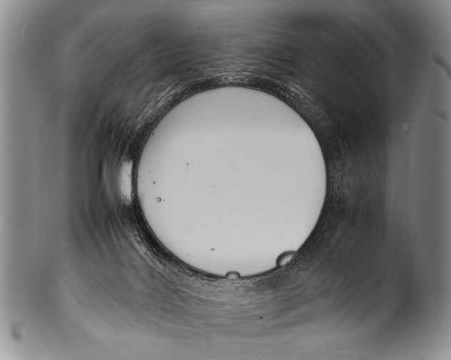 X0000100310028200806261213