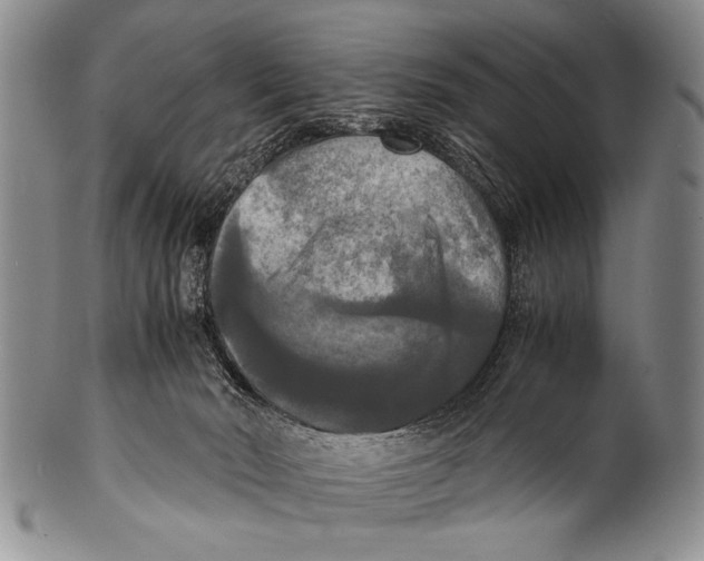 X0000100310030200806261213