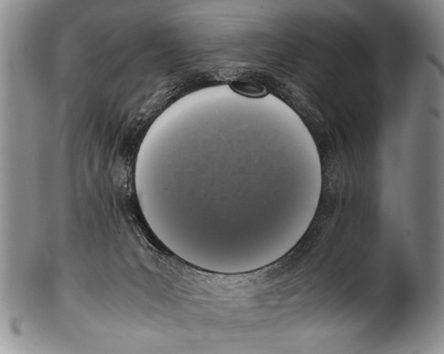 X0000100310031200806261213