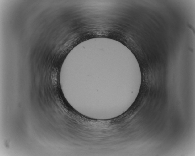 X0000100310032200806261213