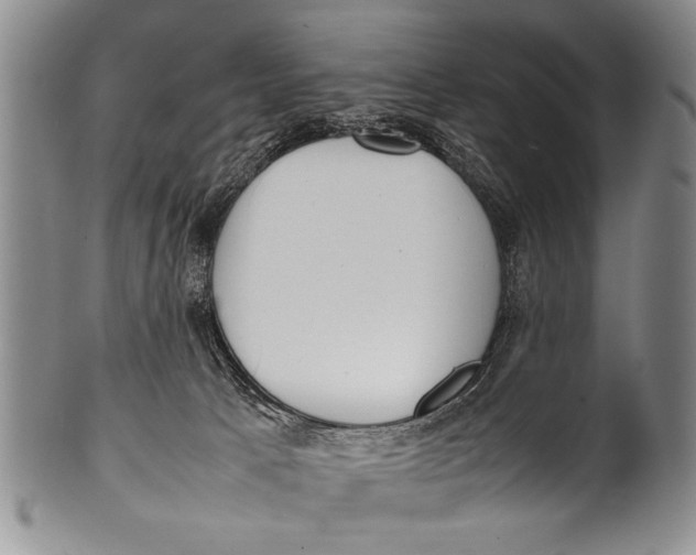 X0000100310033200806261213