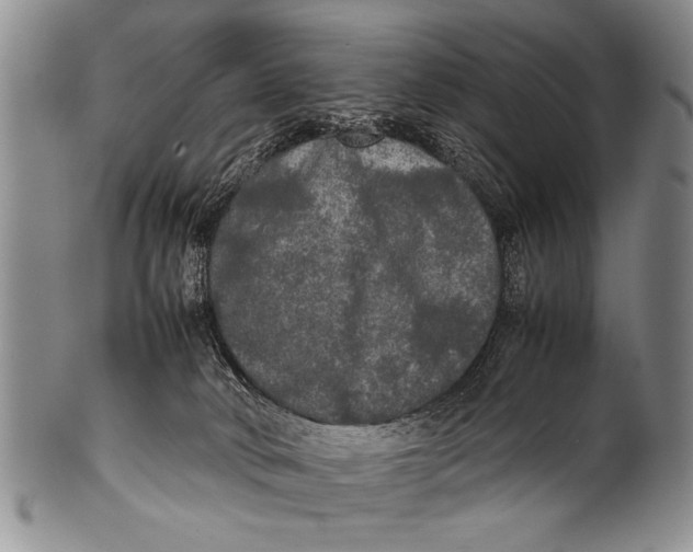 X0000100310034200806261213