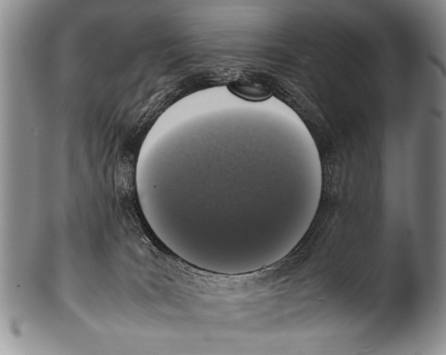 X0000100310035200806261213