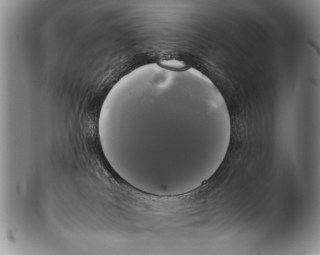 X0000100310039200806261213