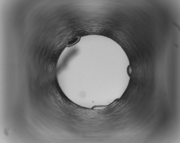 X0000100310040200806261213