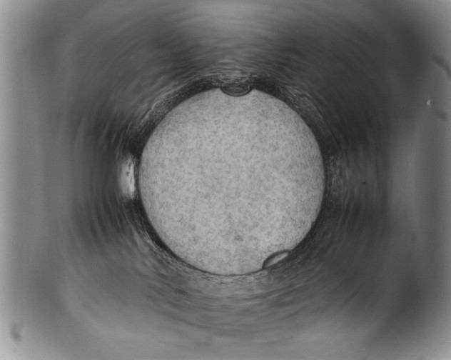 X0000100310042200806261213