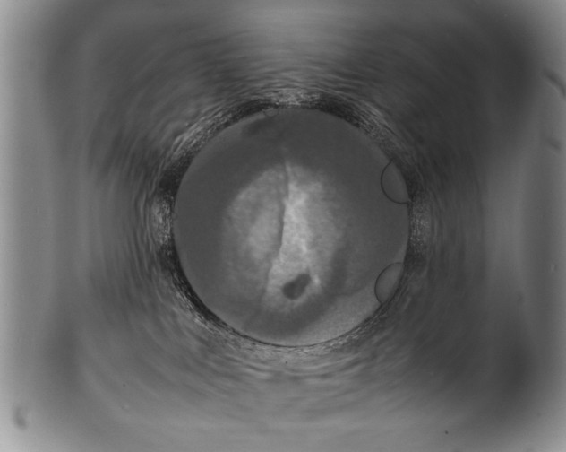 X0000100310043200806261213