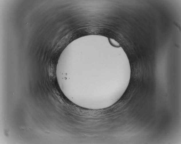 X0000100310044200806261213