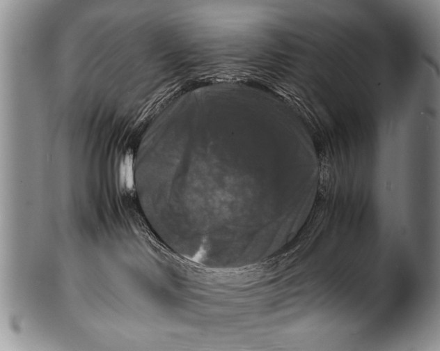 X0000100310046200806261213