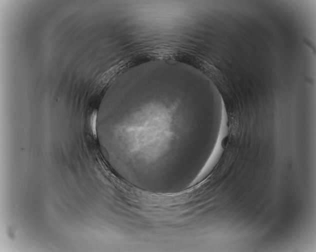 X0000100310047200806261213