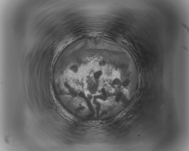 X0000100310049200806261212